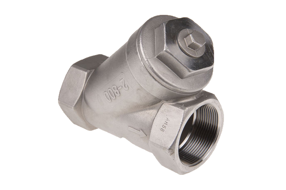 Rvs 316 Strainer bibi BSP PN63 Y Type RB